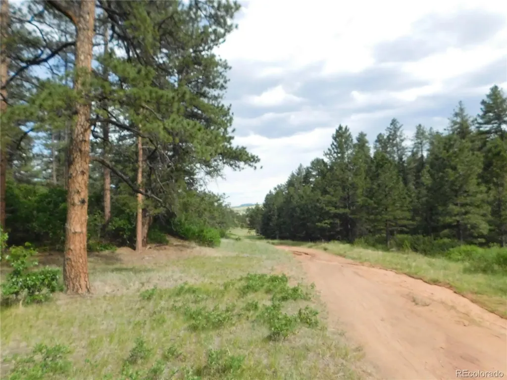 8202 Bannock Drive Larkspur CO 80118
