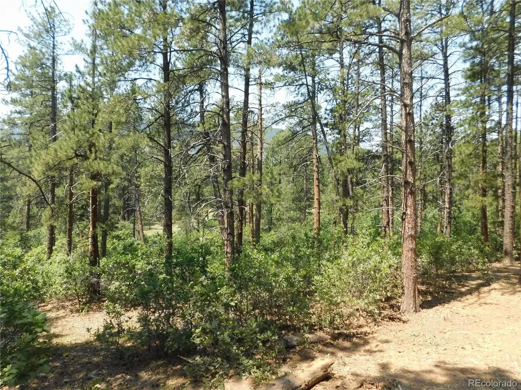 8202 Bannock Drive Larkspur CO 80118