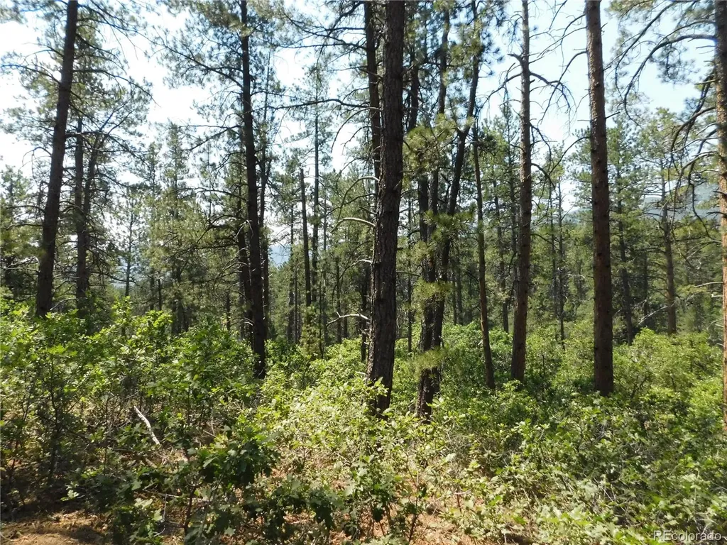8202 Bannock Drive Larkspur CO 80118