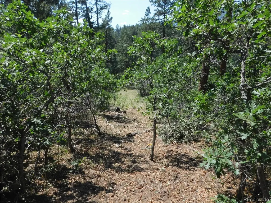 8202 Bannock Drive Larkspur CO 80118