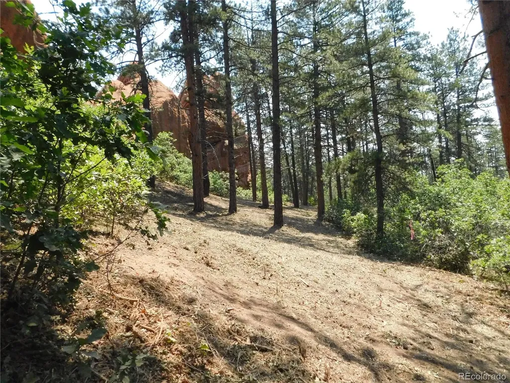 8202 Bannock Drive Larkspur CO 80118