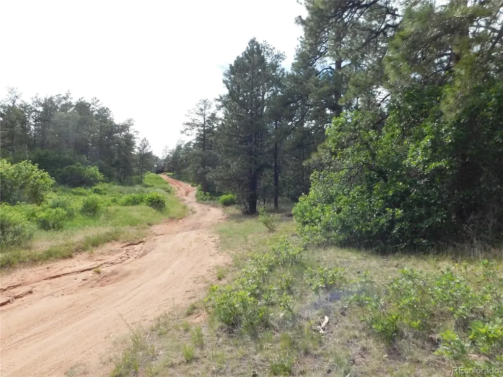 8202 Bannock Drive Larkspur CO 80118