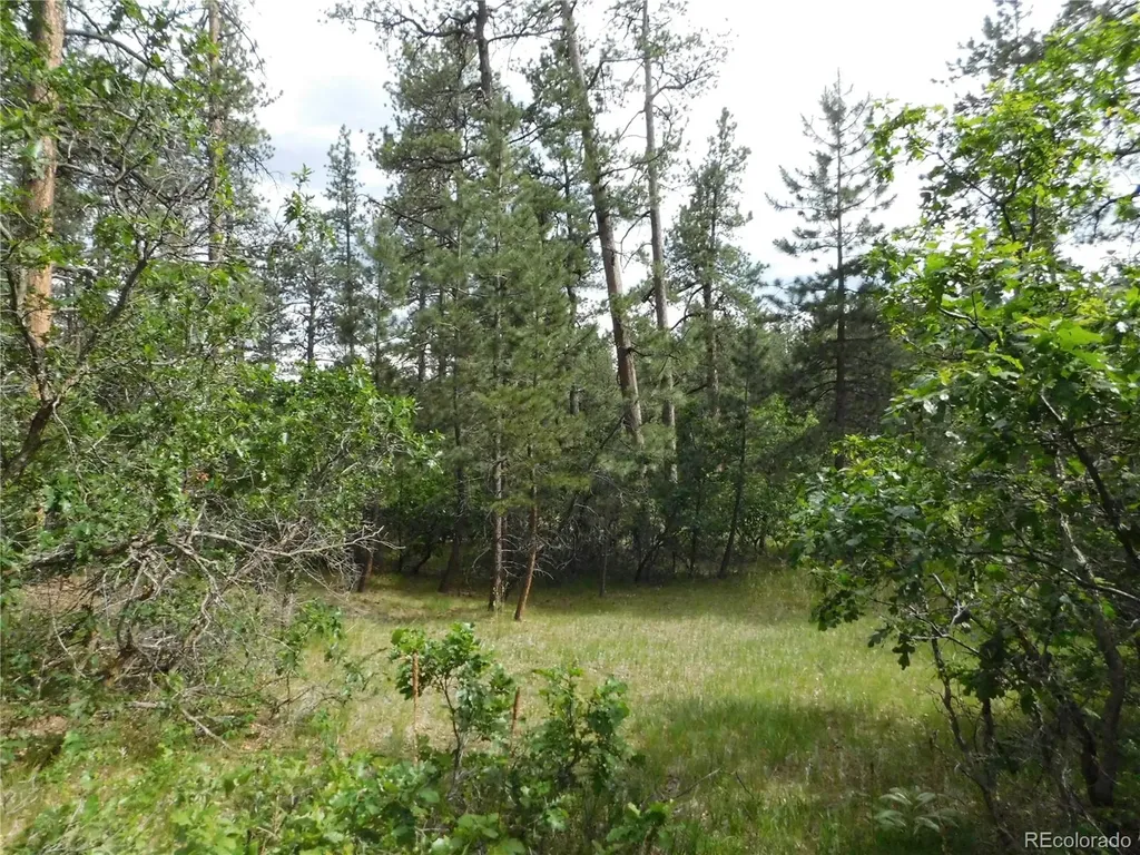 8202 Bannock Drive Larkspur CO 80118