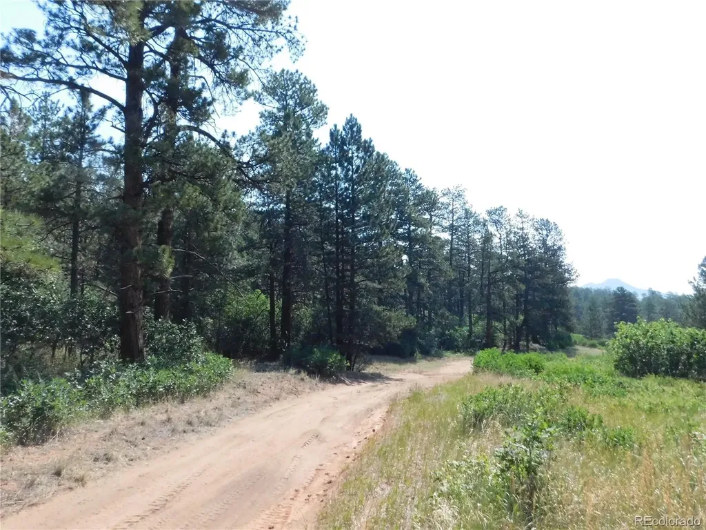 8202 Bannock Drive Larkspur CO 80118
