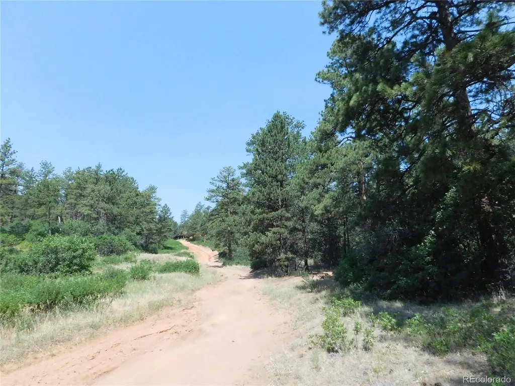 8202 Bannock Drive Larkspur CO 80118