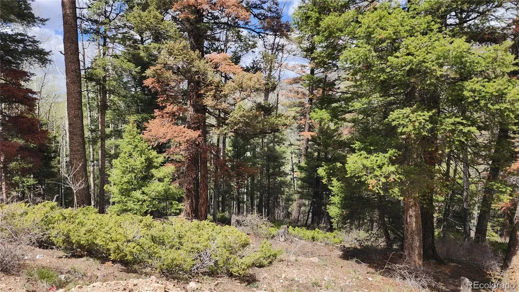 6338 Aragon Road San Luis CO 81152
