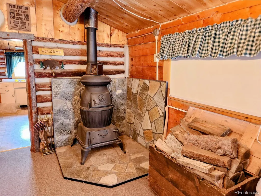 4650 4650 Usfs 516 ##7Pearl Lakes Creede CO 81130
