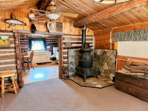 4650 4650 Usfs 516 ##7Pearl Lakes Creede CO 81130
