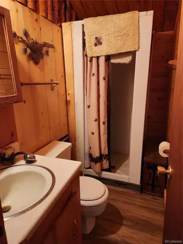 4650 4650 Usfs 516 ##7Pearl Lakes Creede CO 81130