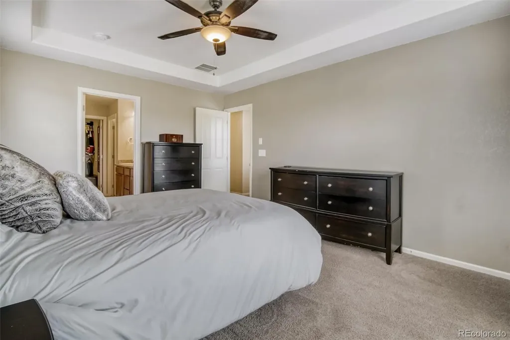 3810 Cadence Drive Castle Rock CO 80109