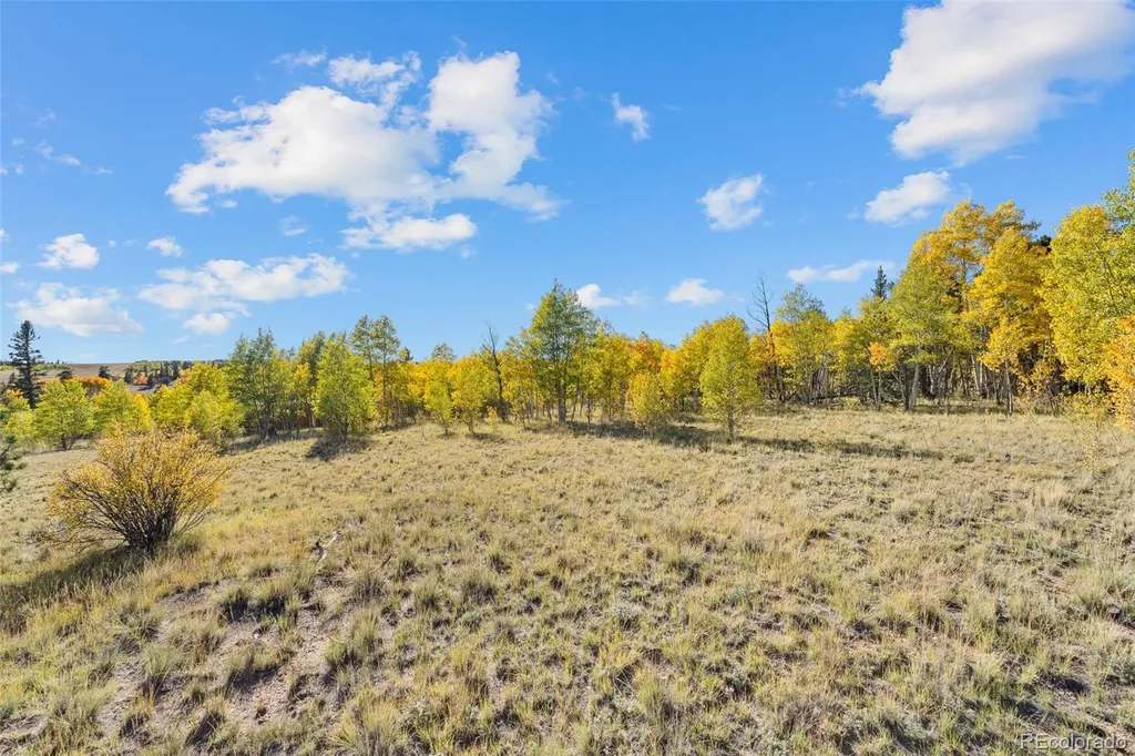 1404 Buffalo Ridge Road Como CO 80432