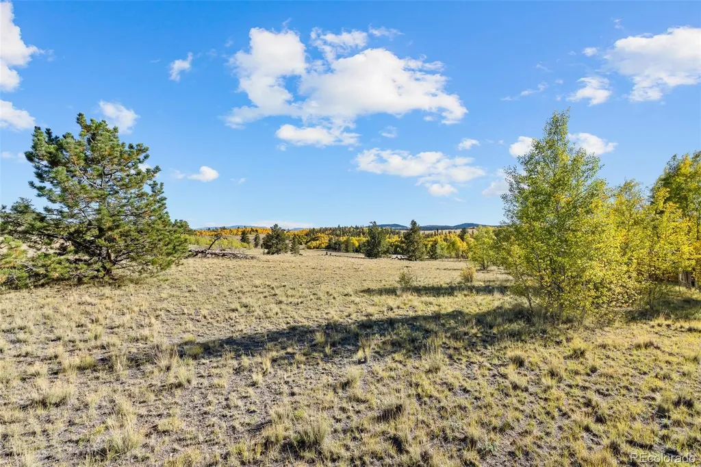 1404 Buffalo Ridge Road Como CO 80432