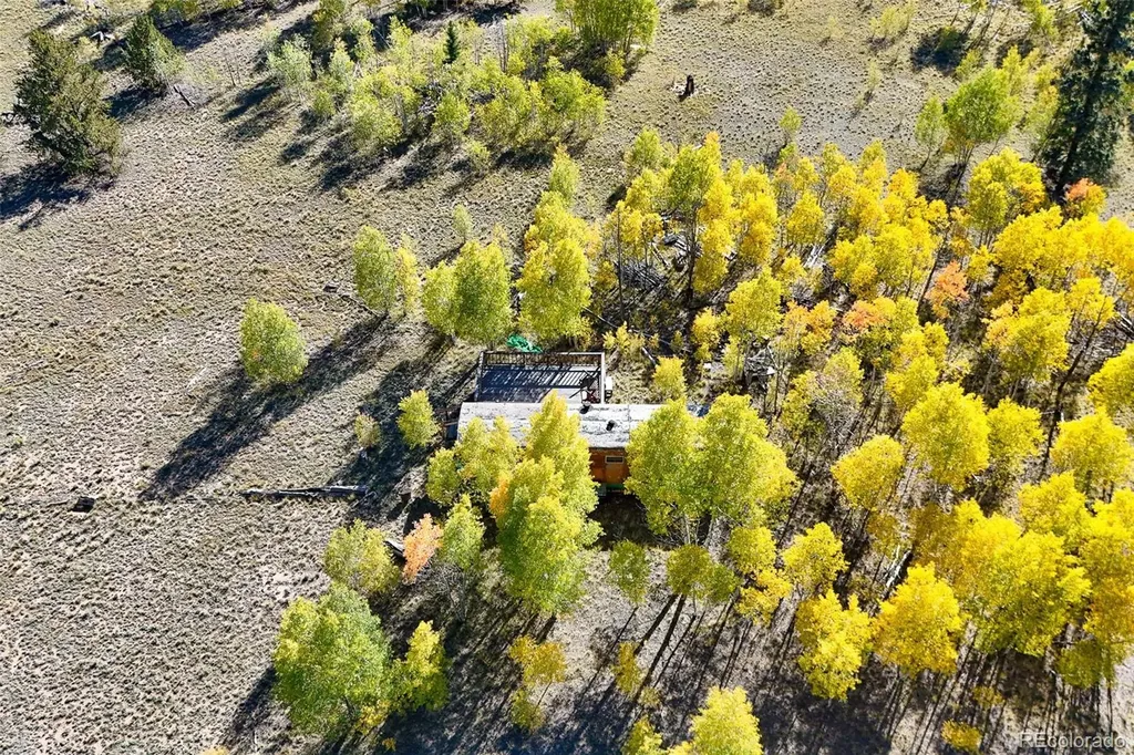 1404 Buffalo Ridge Road Como CO 80432
