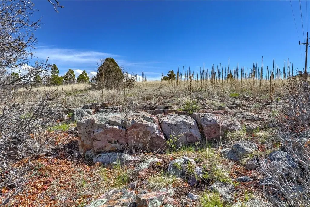 1234 Scenic Avenue Pagosa Springs CO 81147