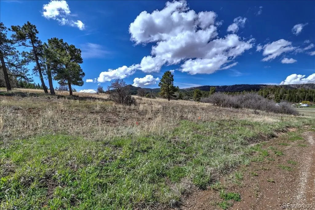1234 Scenic Avenue Pagosa Springs CO 81147