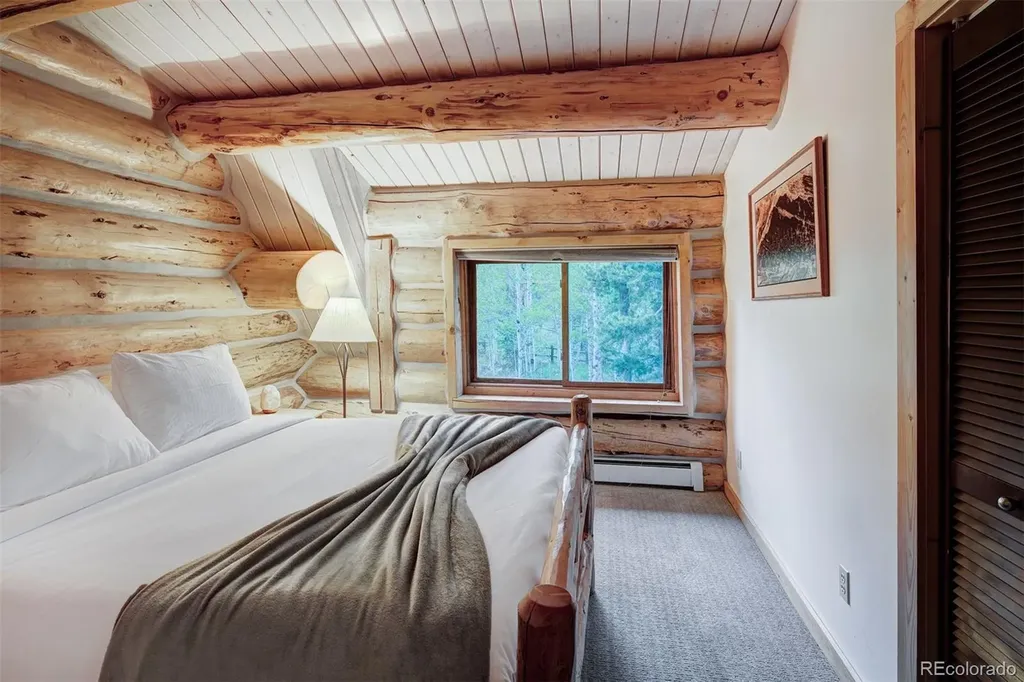 232 N Side Circle Silverthorne CO 80498