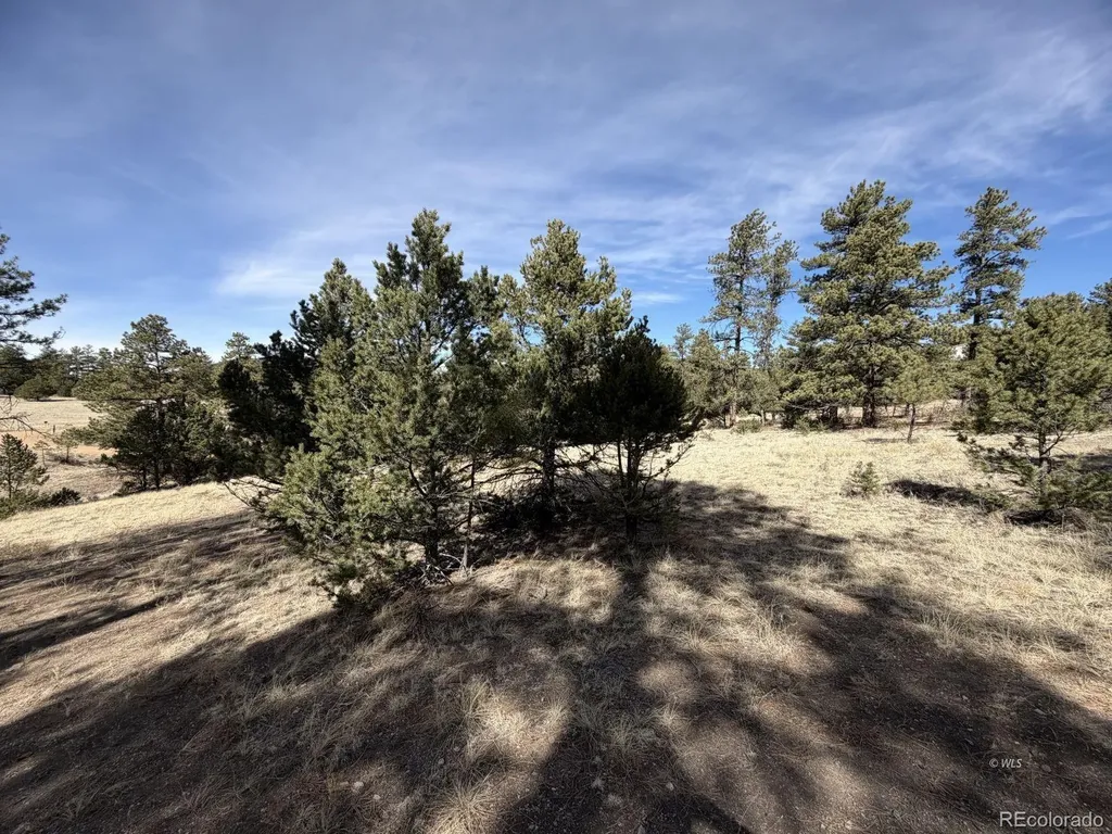 262 Harmon Drive Cotopaxi CO 81223