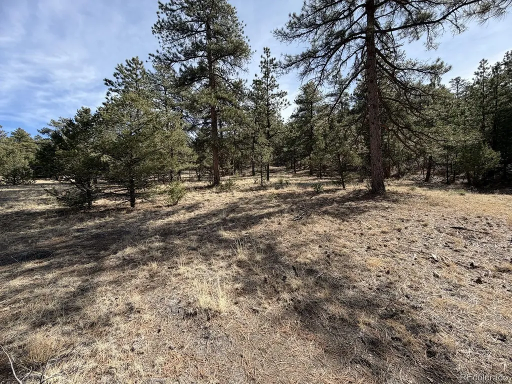 262 Harmon Drive Cotopaxi CO 81223