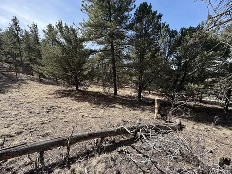 262 Harmon Drive Cotopaxi CO 81223