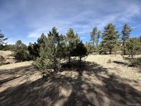 262 Harmon Drive Cotopaxi CO 81223
