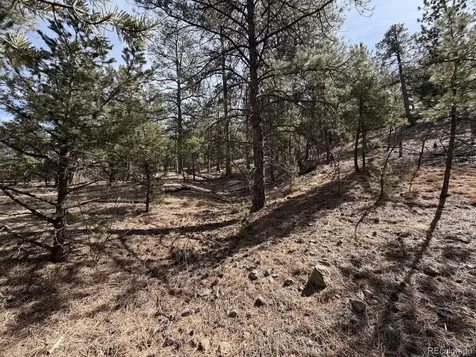 262 Harmon Drive Cotopaxi CO 81223