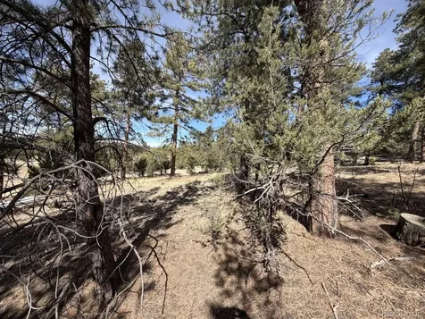 262 Harmon Drive Cotopaxi CO 81223