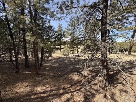 262 Harmon Drive Cotopaxi CO 81223
