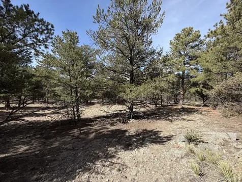 262 Harmon Drive Cotopaxi CO 81223