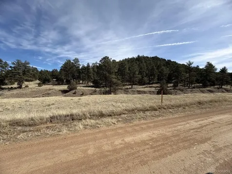 262 Harmon Drive Cotopaxi CO 81223
