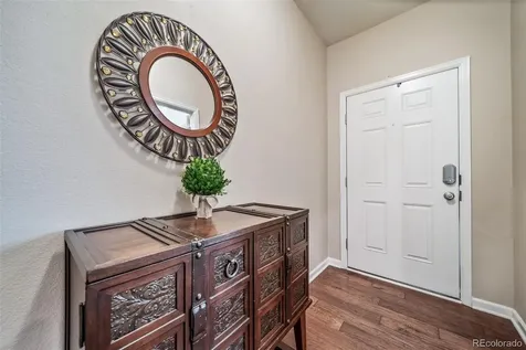 18236 Shadbury Lane Parker CO 80134