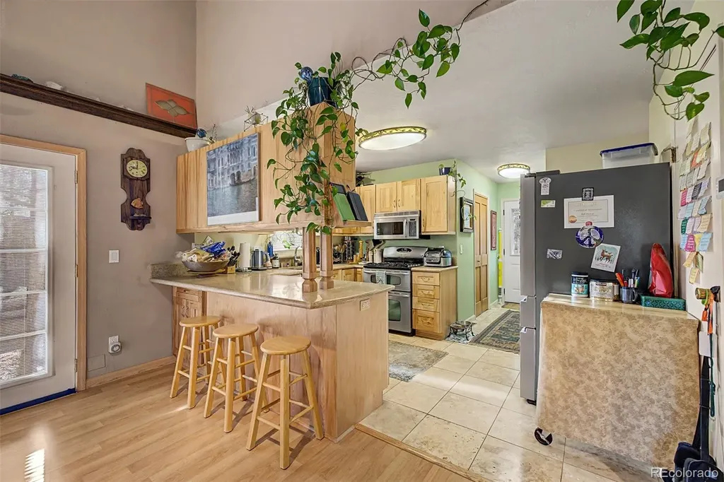 55 Rafferty Drive Leadville CO 80461