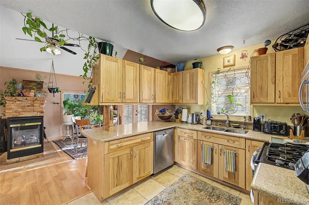 55 Rafferty Drive Leadville CO 80461