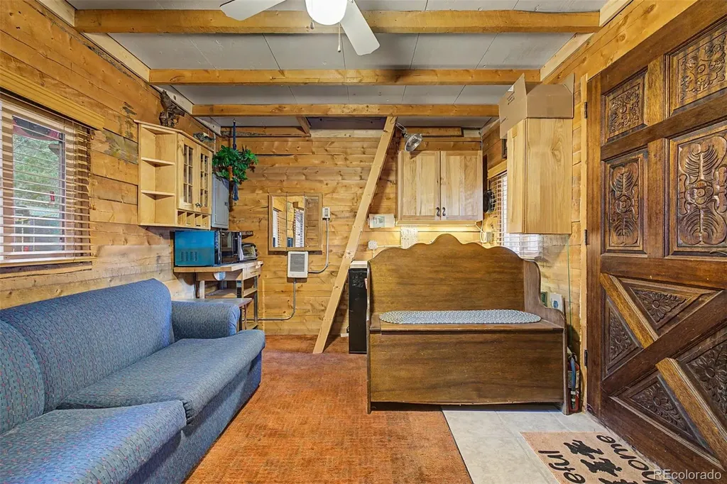55 Rafferty Drive Leadville CO 80461