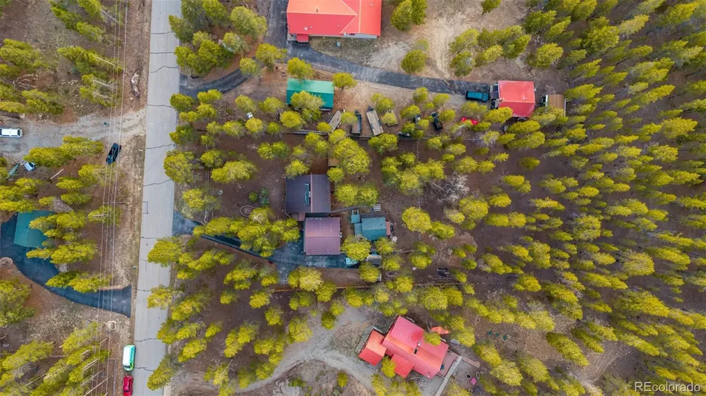 55 Rafferty Drive Leadville CO 80461