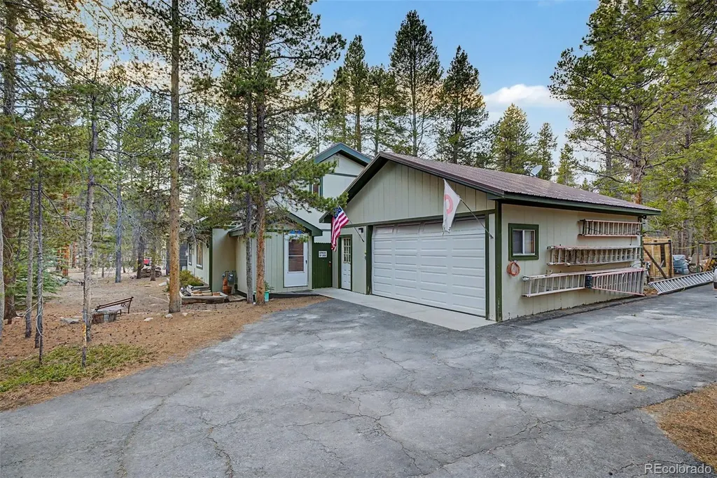 55 Rafferty Drive Leadville CO 80461