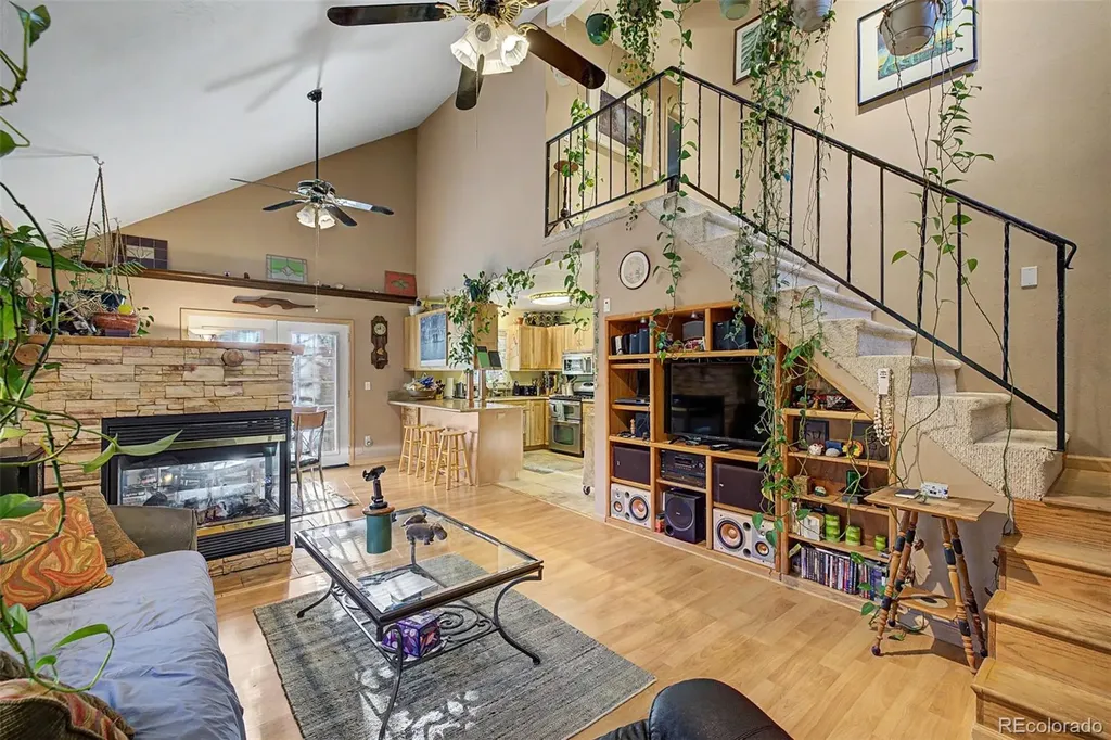 55 Rafferty Drive Leadville CO 80461