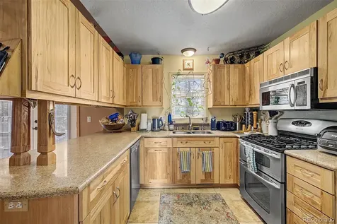 55 Rafferty Drive Leadville CO 80461