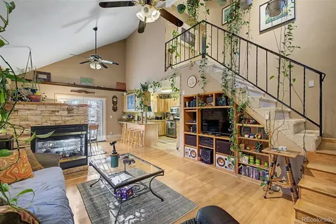 55 Rafferty Drive Leadville CO 80461