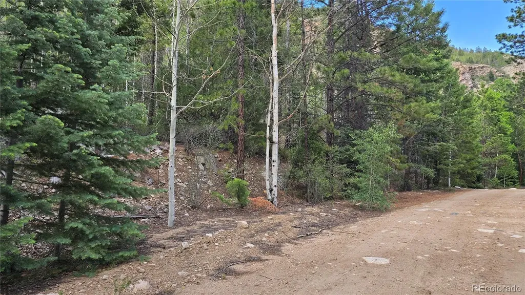 Lot 6474 Malcolm Road San Luis CO 81152