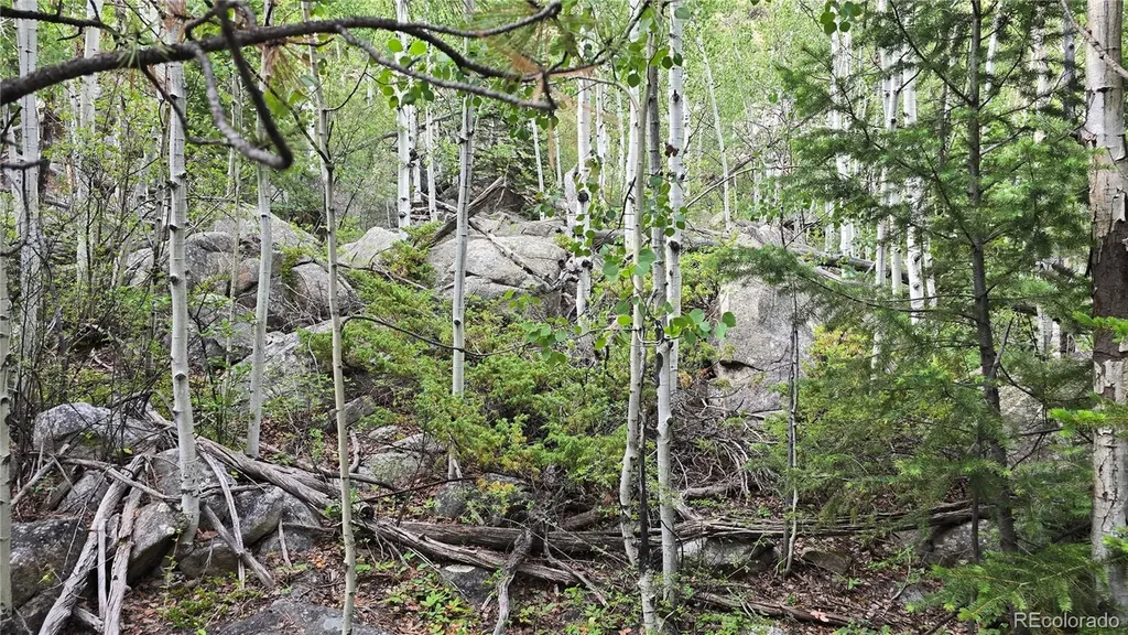 Lot 6474 Malcolm Road San Luis CO 81152