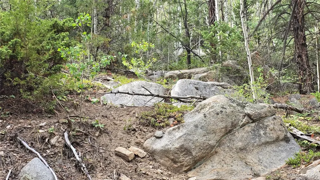 Lot 6474 Malcolm Road San Luis CO 81152