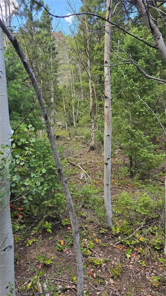 Lot 6474 Malcolm Road San Luis CO 81152