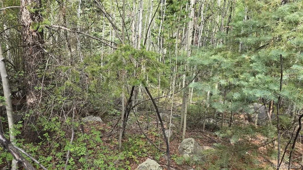 Lot 6474 Malcolm Road San Luis CO 81152