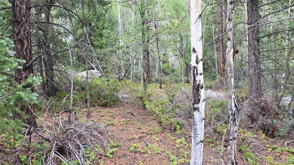 Lot 6474 Malcolm Road San Luis CO 81152
