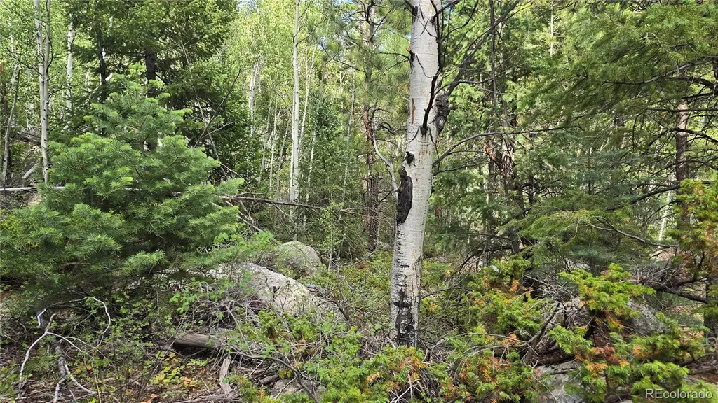 Lot 6474 Malcolm Road San Luis CO 81152