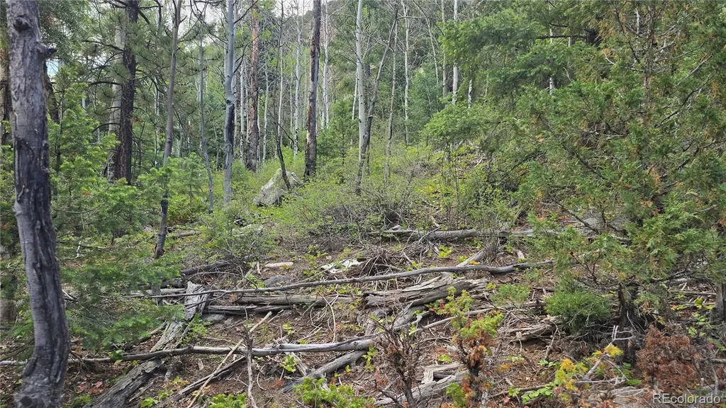 Lot 6474 Malcolm Road San Luis CO 81152