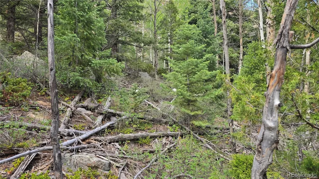 Lot 6474 Malcolm Road San Luis CO 81152