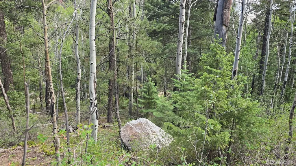Lot 6474 Malcolm Road San Luis CO 81152