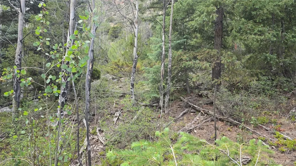 Lot 6474 Malcolm Road San Luis CO 81152