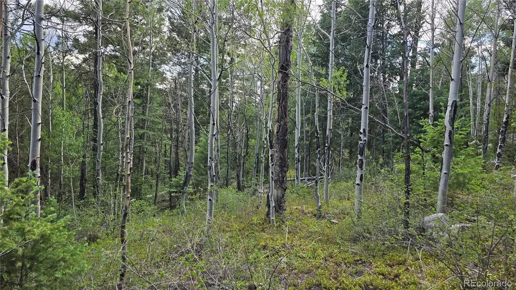 Lot 6474 Malcolm Road San Luis CO 81152